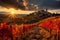 Artistic tuscan sunset casting warm glow over picturesque vineyards in a captivating vision