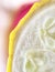 Artistic Vegetable Close Up Yellow Squash