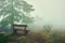 Artistic vintage style photo of a wooden bench in a foggy forest