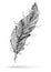 Artistically drawn, stylized, vector feather on a