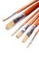 Artists paint brushes