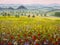 Artwork Italian tuscany cypresses landscape with mountains, flowers field painting on canvas.