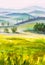 Artwork Italian tuscany cypresses landscape with mountains, flowers field painting on canvas.