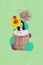 Artwork magazine collage picture of unsure uncertain lady inside basket growing sunflower isolated drawing background