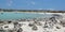 Aruba,Baby Beach, On The Caribbean Sea