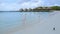 Aruba beach with pink flamingos at the beach, flamingo at the beach in Aruba Island Caribbean