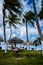 Aruba Caribbean Hammock on the beach with palm trees