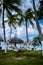 Aruba Caribbean Hammock on the beach with palm trees