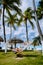 Aruba Caribbean Hammock on the beach with palm trees