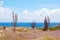 Aruba Landscape