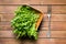 Arugula leaves in bowl