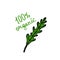 Arugula rucola doodle icon, vector illustration