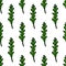 Arugula rucola seamless doodle pattern, vector illustration