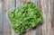 Arugula salad in the plastic box on wooden background. Rucola lettuce healthy food. Vegetarian lifestyle concept. Green fresh