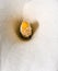 Arum lily macro