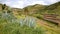 ARURE, LA GOMERA, SPAIN: Cultivated terraced fields near Arure with Aloe Vera plants in the foreground