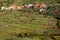 ARURE, LA GOMERA, SPAIN: Cultivated terraced fields near Arure village