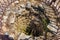 Arzachena, Sardinia, Italy - Archeological ruins of Nuragic complex La Prisgiona - Nuraghe La Prisgiona - with remaining of stone