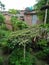 As a horticulturist, I grow dozens of containers filled with veggies on my patio every season in madhubani bihar india