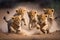 As the lion cubs play together, their soft, fluffy fur bounces with each energetic movement, and their adorable antics bring joy