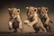 As the lion cubs play together, their soft, fluffy fur bounces with each energetic movement, and their adorable antics bring joy