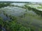 As a result of heavy rains, various fields of West Bengal along the banks of the Ganges were submerged.