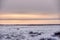 As the sun sets, a lone male polar bear walks through the snowy tundra near Churchill, Manitoba, Canada.