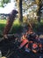 Asado de campo / countryside barbecue - pampa Argentina