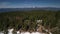 Ascending drone footage flyover pine forest trees on icy ground with blue sky