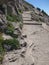 Ascending Trail Stairs on Skyline Trail - Hiking Mount Rainier