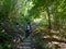 The ascending trail to Poenari Castle, Romania