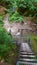 Ascent via wooden stairs and metal ladders between sandstones, Saxony