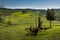 ASCIANO, TUSCANY, Italy - trekking, in a beautiful landscape