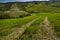 ASCIANO, TUSCANY, Italy - trekking, in a beautiful landscape