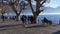 Ascona, the promenade along Maggiore lake