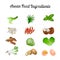 Asean food ingredients set bundle include vegetables and meat in gradient cartoon design