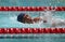 Asean paragames: disabled swimming