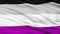 Asexual Close Up Waving Flag