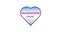 Asexual Flag. transgender flag. International Day Against Homophobia. Blue, pink, white, mixed stripes. The hand holds the heart.
