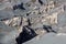 Ash sand dunes of Bromo volcano in.