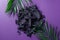 Ashen Cross with Vibrant Palm Leaves on a Purple Background.