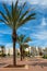 Ashkelon street with palm trees