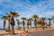 Ashkelon street with palm trees