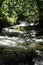 Ashland Creek at Lithia Park