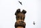 Ashoka Pillar image in sky with birds are flying