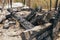 Ashtray after a fire - charred logs of a wooden building