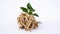 Ashwagandha Dry Root Medicinal Herb with Fresh Leaves, also known as Withania Somnifera