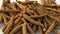 Ashwagandha Dry Root Medicinal Herb with Fresh Leaves, also known as Withania Somnifera