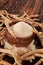 Ashwagandha powder in wooden bowl