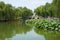 Asia China, Beijing, Beihai Park, The stone bridge, lotus pond, the boat